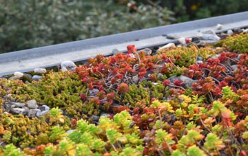 the cost of Upper Gambolds green roof installation
