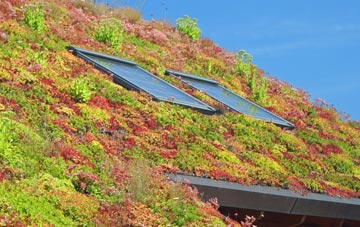 Upper Gambolds living roof systems